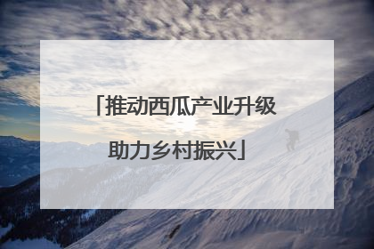推动西瓜产业升级 助力乡村振兴
