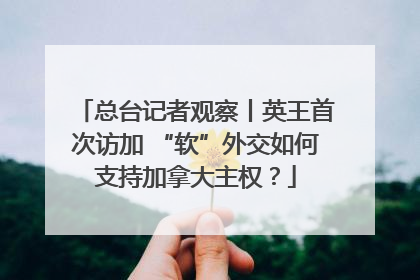 总台记者观察丨英王首次访加 “软”外交如何支持加拿大主权？