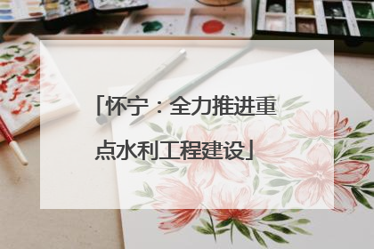 怀宁：全力推进重点水利工程建设