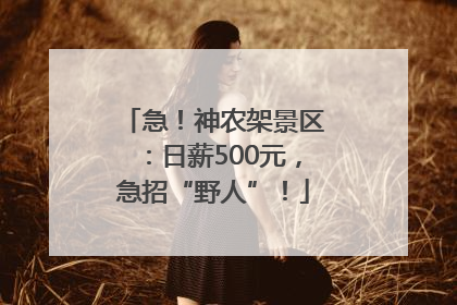 急！神农架景区：日薪500元，急招“野人”！