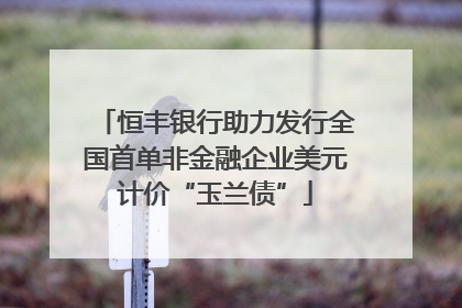 恒丰银行助力发行全国首单非金融企业美元计价“玉兰债”