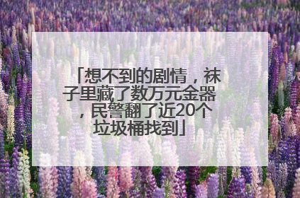 想不到的剧情，袜子里藏了数万元金器，民警翻了近20个垃圾桶找到