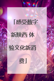感受数字新陕西 体验文化新消费