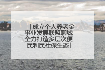 成立个人养老金事业发展联盟聊城全力打造多层次便民利民社保生态