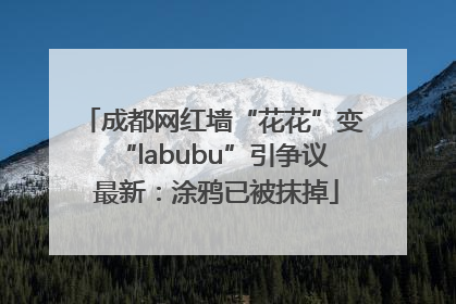 成都网红墙“花花”变“labubu”引争议 最新：涂鸦已被抹掉