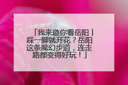 我来邀你看岳阳丨踩一脚就开花？岳阳这条魔幻步道，连走路都变得好玩！