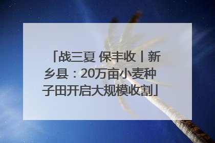 战三夏 保丰收丨新乡县：20万亩小麦种子田开启大规模收割