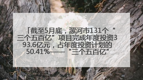 截至5月底，漯河市131个“三个五百亿”项目完成年度投资393.6亿元，占年度投资计划的50.41%——“三个五百亿”项目带动产业提质升级