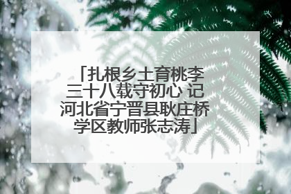 扎根乡土育桃李 三十八载守初心 记河北省宁晋县耿庄桥学区教师张志涛