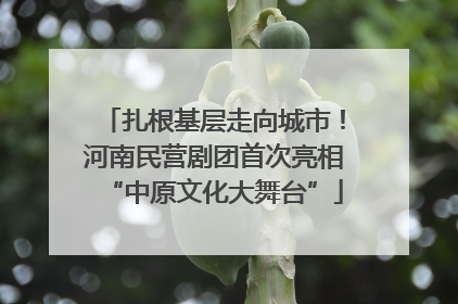 扎根基层走向城市！河南民营剧团首次亮相“中原文化大舞台”