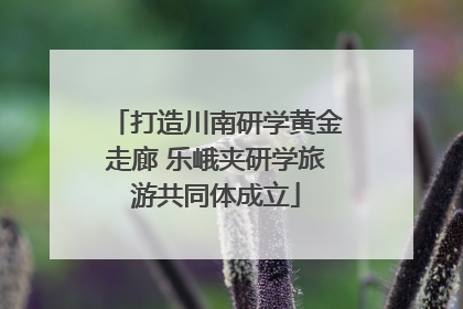 打造川南研学黄金走廊 乐峨夹研学旅游共同体成立