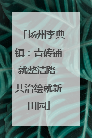 扬州李典镇：青砖铺就整洁路 共治绘就新田园