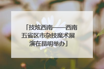 技炫西南——西南五省区市杂技魔术展演在昆明举办