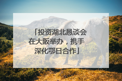 投资湖北恳谈会在大阪举办，携手深化鄂日合作