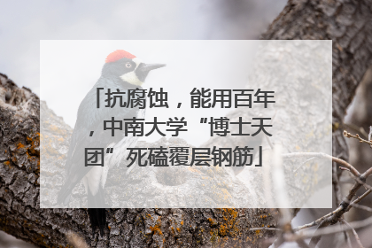 抗腐蚀，能用百年，中南大学“博士天团”死磕覆层钢筋