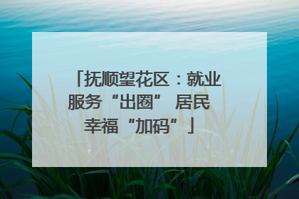 抚顺望花区：就业服务“出圈” 居民幸福“加码”