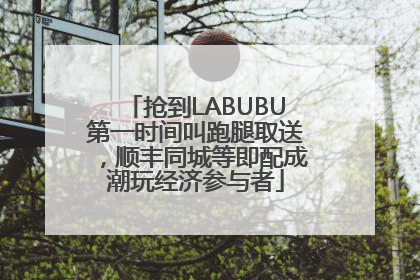 抢到LABUBU第一时间叫跑腿取送，顺丰同城等即配成潮玩经济参与者