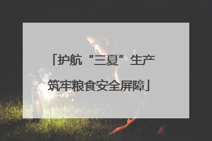 护航“三夏”生产 筑牢粮食安全屏障
