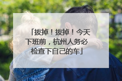 拔掉！拔掉！今天下班前，杭州人务必检查下自己的车