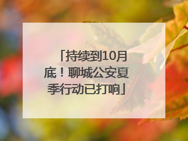 持续到10月底！聊城公安夏季行动已打响