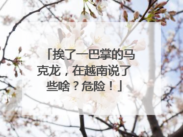 挨了一巴掌的马克龙，在越南说了些啥？危险！