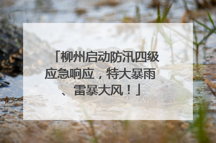 柳州启动防汛四级应急响应，特大暴雨、雷暴大风！