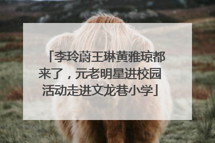 李玲蔚王琳黄雅琼都来了，元老明星进校园活动走进文龙巷小学