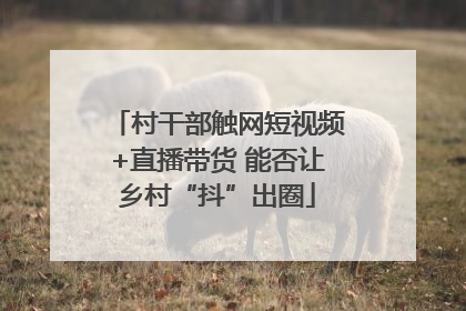 村干部触网短视频+直播带货 能否让乡村“抖”出圈
