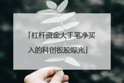 杠杆资金大手笔净买入的科创板股曝光