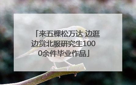 来五棵松万达 边逛边赏北服研究生1000余件毕业作品
