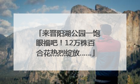 来晋阳湖公园一饱眼福吧！12万株百合花热烈绽放……