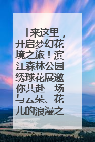 来这里，开启梦幻花境之旅！滨江森林公园绣球花展邀你共赴一场与云朵、花儿的浪漫之约