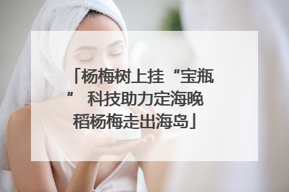 杨梅树上挂“宝瓶” 科技助力定海晚稻杨梅走出海岛