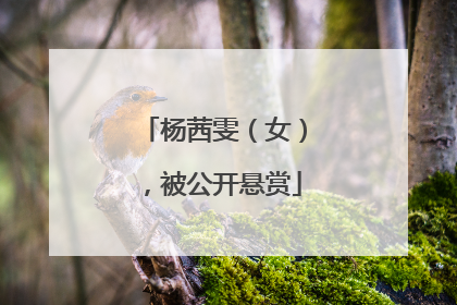 杨茜雯（女），被公开悬赏