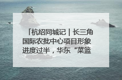 杭绍同城记｜长三角国际农批中心项目形象进度过半，华东“菜篮子”建设加码提速！