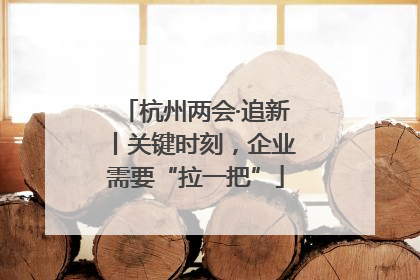 杭州两会·追新丨关键时刻，企业需要“拉一把”