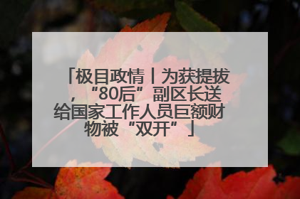 极目政情丨为获提拔，“80后”副区长送给国家工作人员巨额财物被“双开”