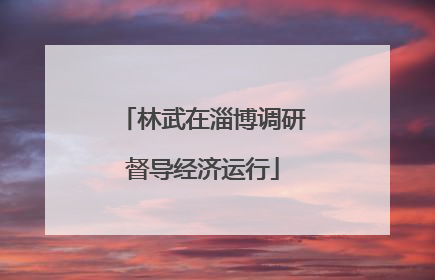林武在淄博调研督导经济运行