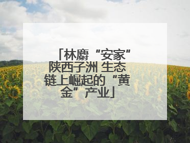 林麝“安家”陕西子洲 生态链上崛起的“黄金”产业