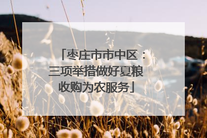 枣庄市市中区：三项举措做好夏粮收购为农服务