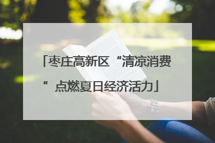 枣庄高新区“清凉消费”点燃夏日经济活力