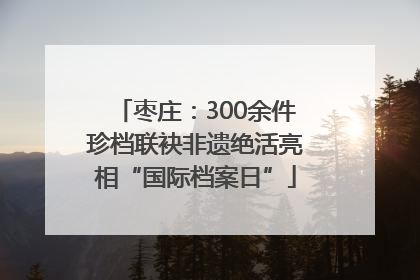 枣庄：300余件珍档联袂非遗绝活亮相“国际档案日”