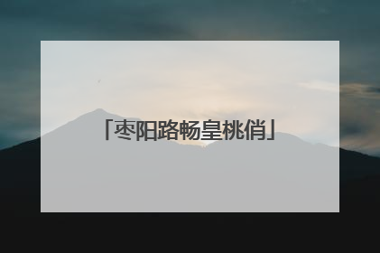枣阳路畅皇桃俏