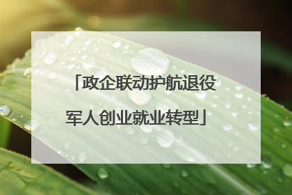 政企联动护航退役军人创业就业转型