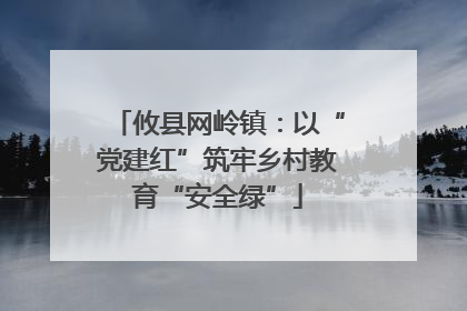 攸县网岭镇：以“党建红”筑牢乡村教育“安全绿”