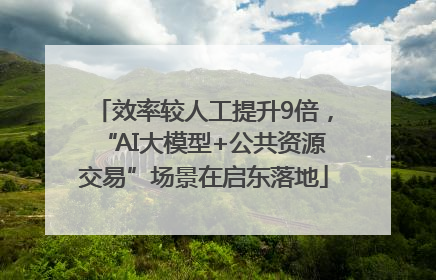 效率较人工提升9倍，“AI大模型+公共资源交易”场景在启东落地
