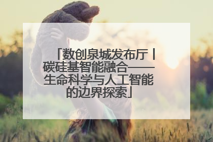 数创泉城发布厅丨碳硅基智能融合——生命科学与人工智能的边界探索