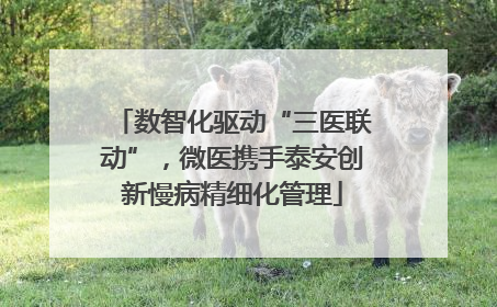 数智化驱动“三医联动”，微医携手泰安创新慢病精细化管理
