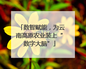 数智赋能，为云南高原农业装上“数字大脑”