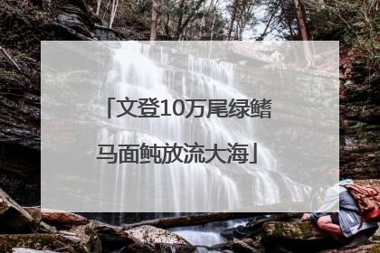 文登10万尾绿鳍马面鲀放流大海